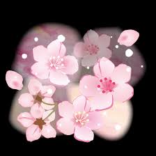 桜🌸