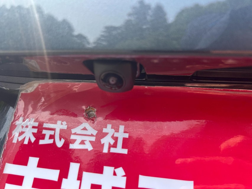 ホンダ N BOX 15枚目