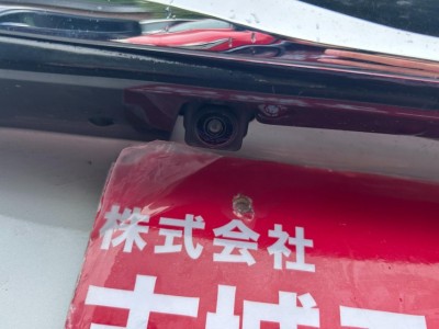 ニッサン ルークス 19枚目