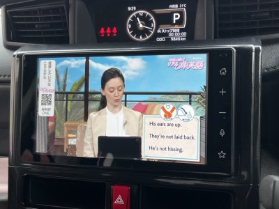 トヨタ ルーミー 34枚目